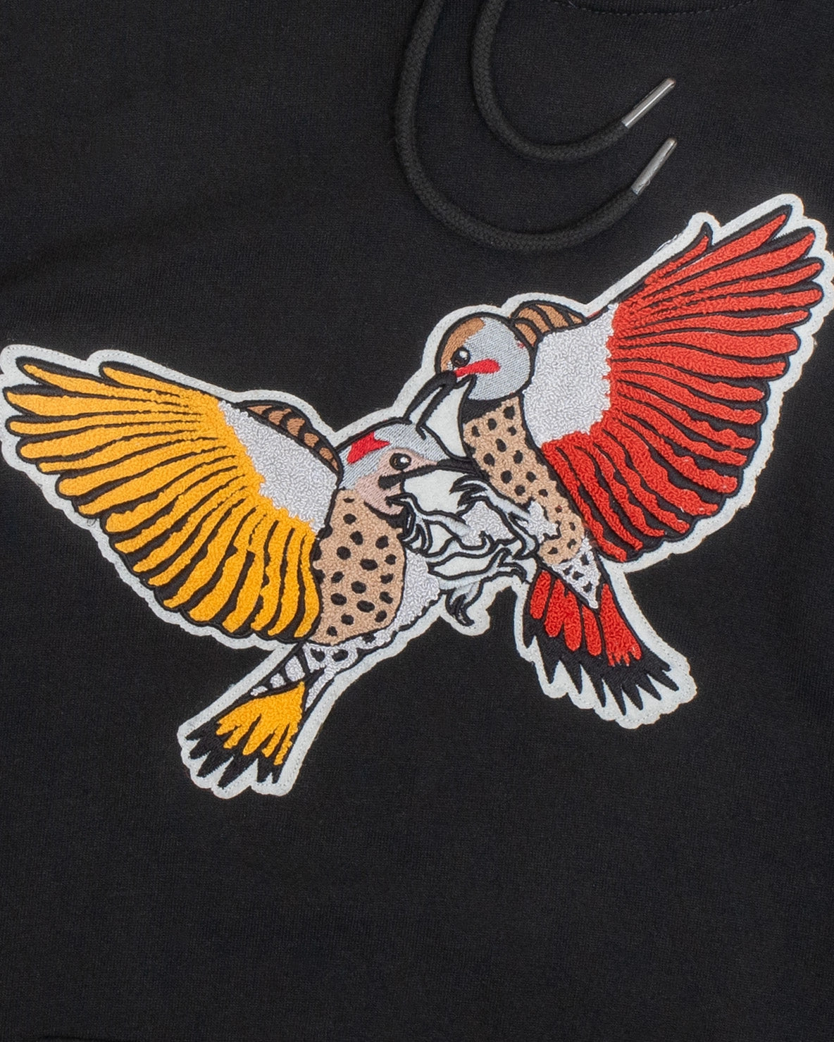 Bird Club