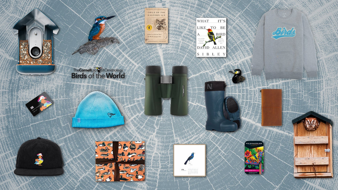 The Ultimate Gift Guide for Bird Lovers: Unique Gifts for Birders and Birdwatchers [Updated for 2025]