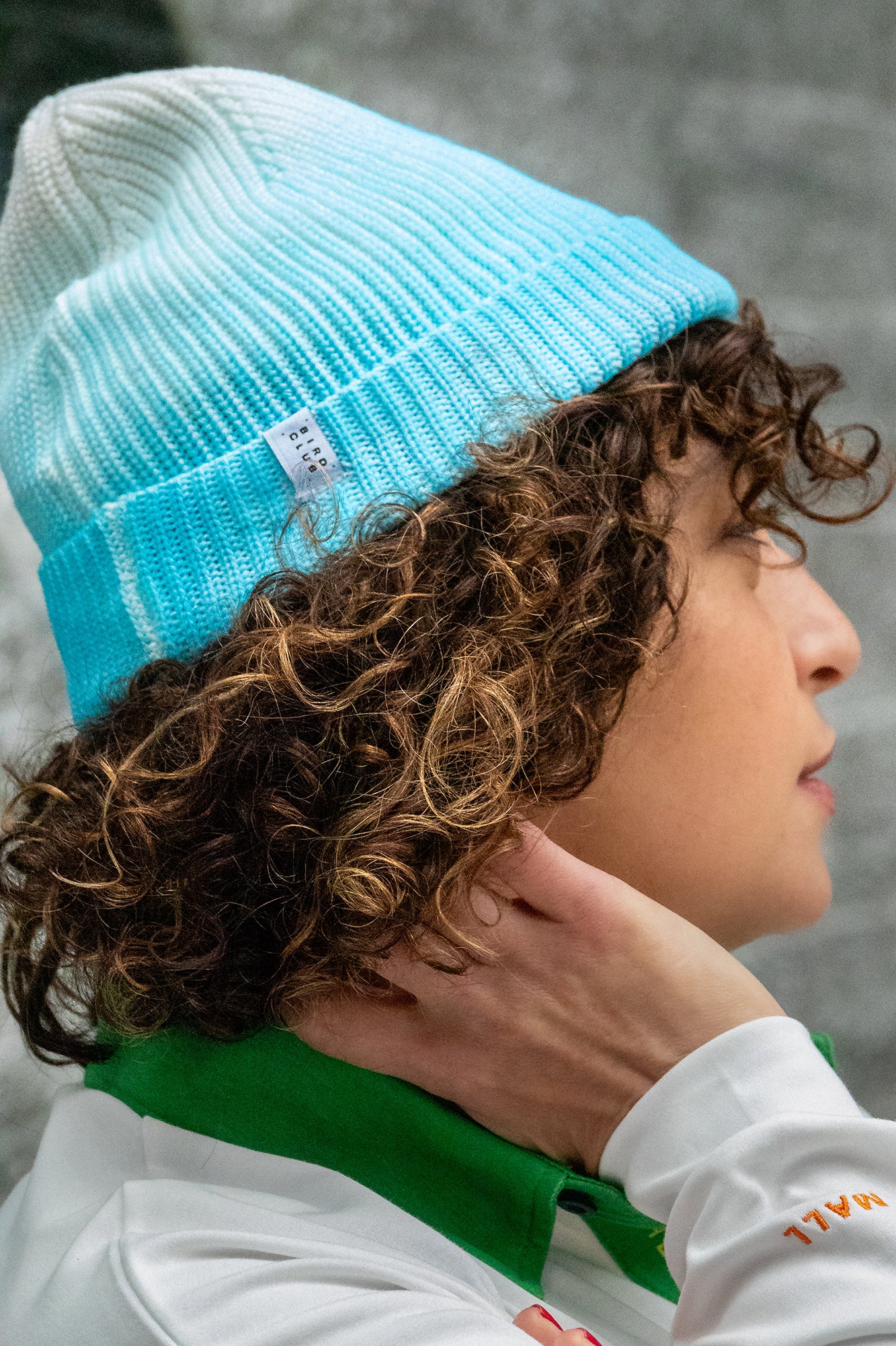 Mountain Bluebird Beanie