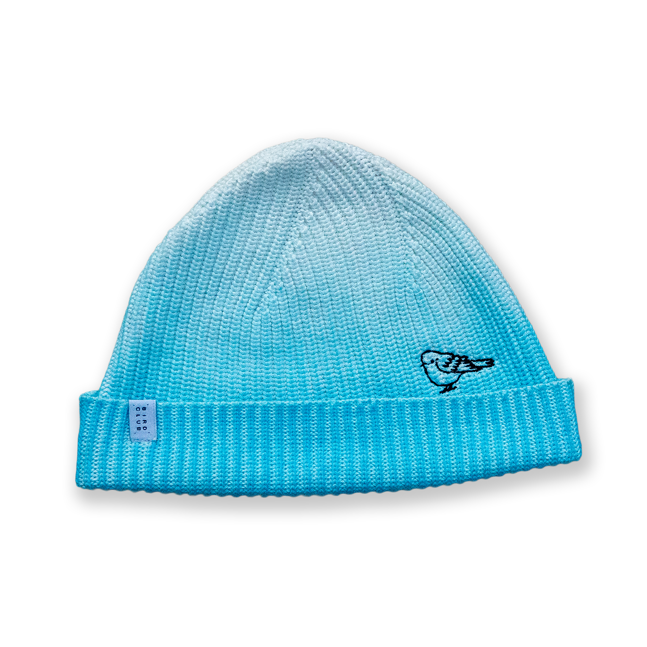 Mountain Bluebird Beanie