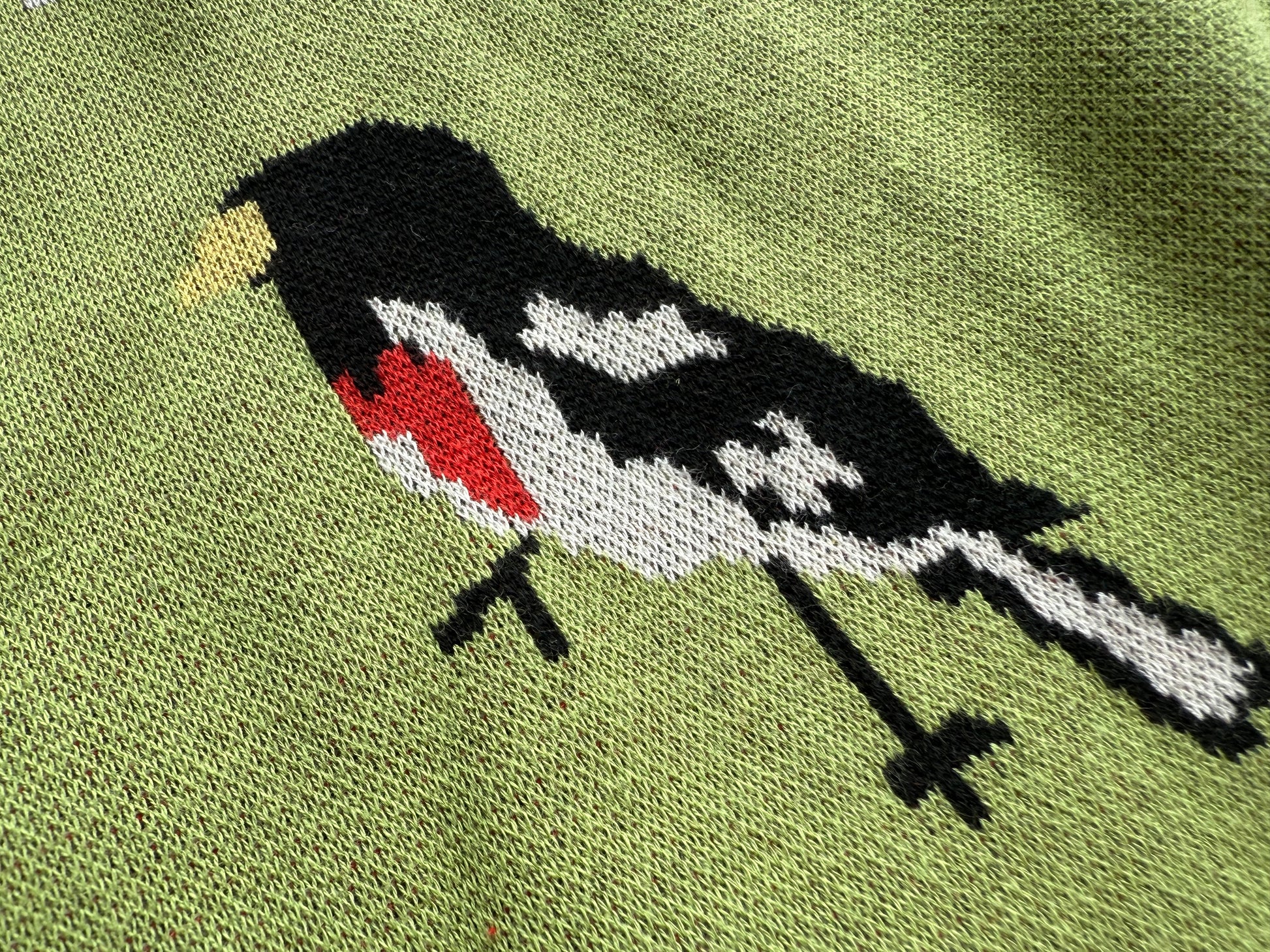 Bird Club