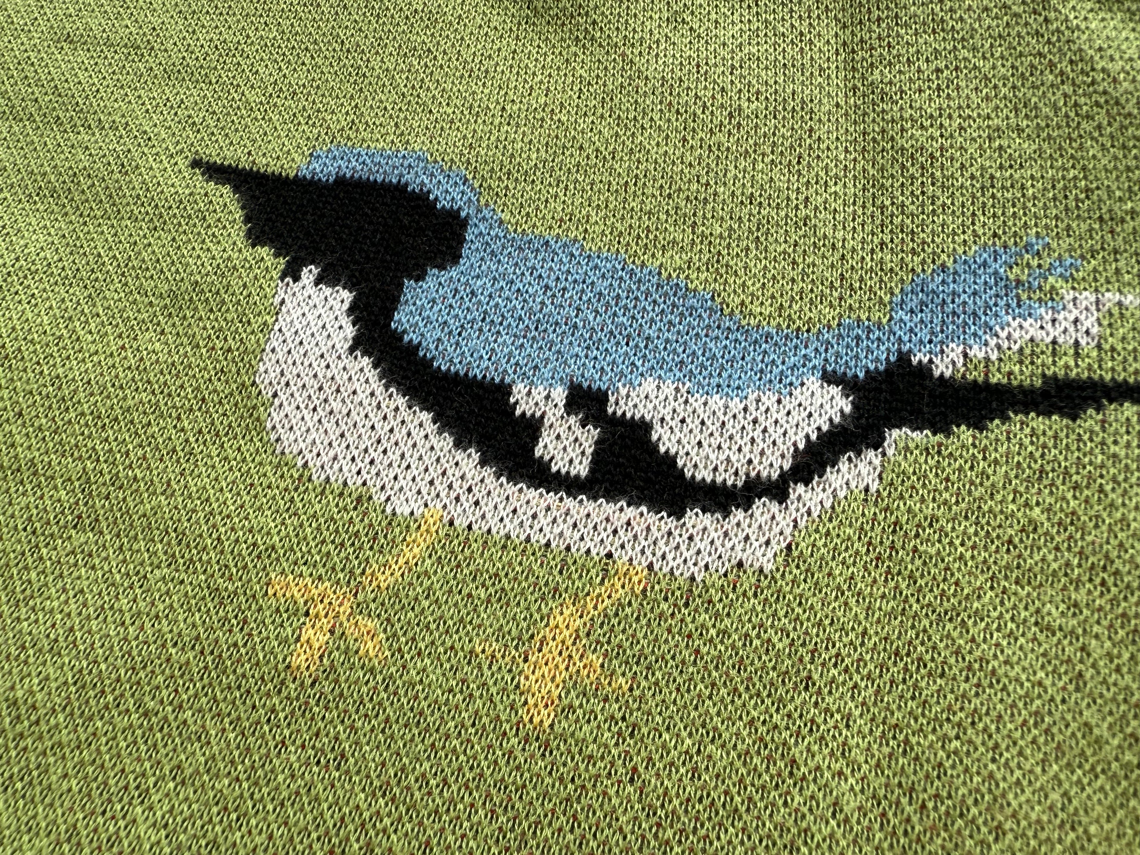 Bird Club