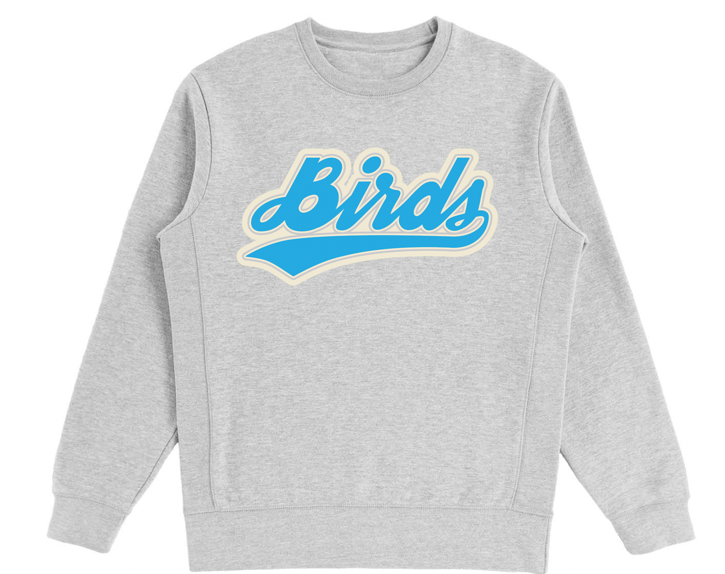 Bird Club sweatshirt featuring chenille embroidery of the word 'Birds' in blue. The sweatshirt is framed against a plain white background, showcasing its design and quality. This product emphasizes Bird Club's commitment to sustainable brands, bird watching, and ornithology.